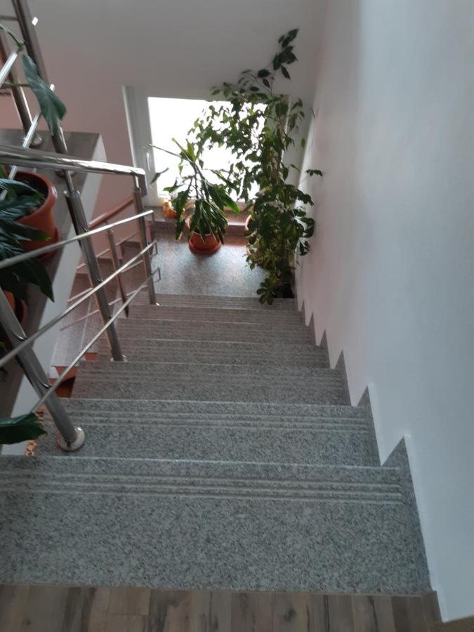 Vila Georgeta Zarnesti Exterior foto