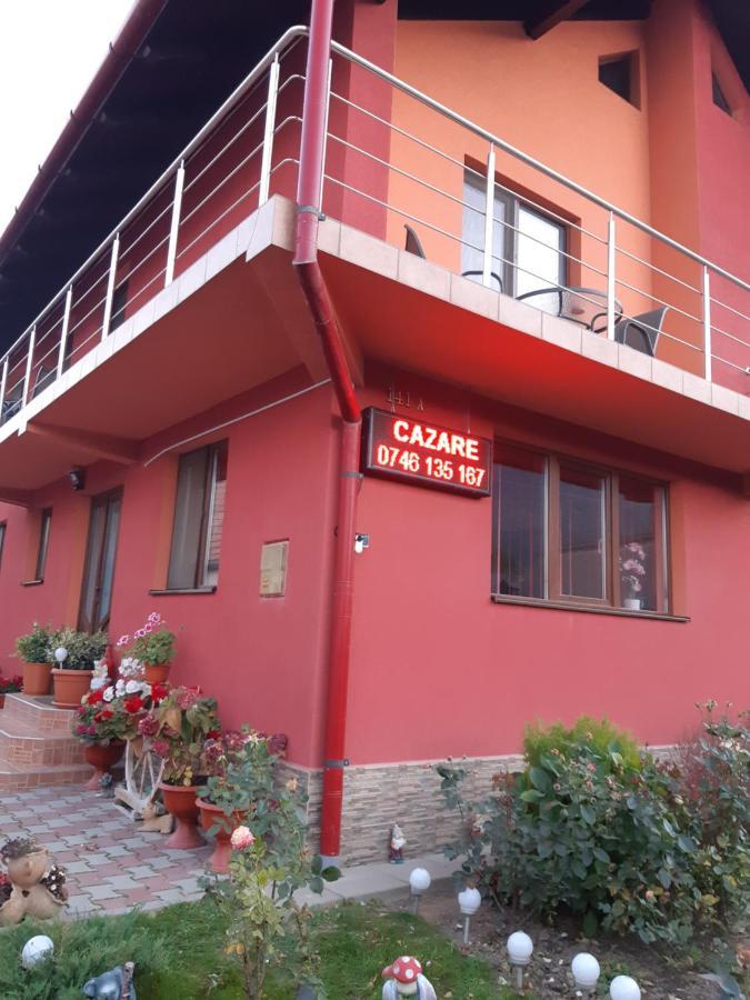 Vila Georgeta Zarnesti Exterior foto