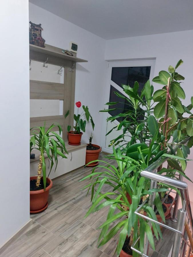 Vila Georgeta Zarnesti Exterior foto