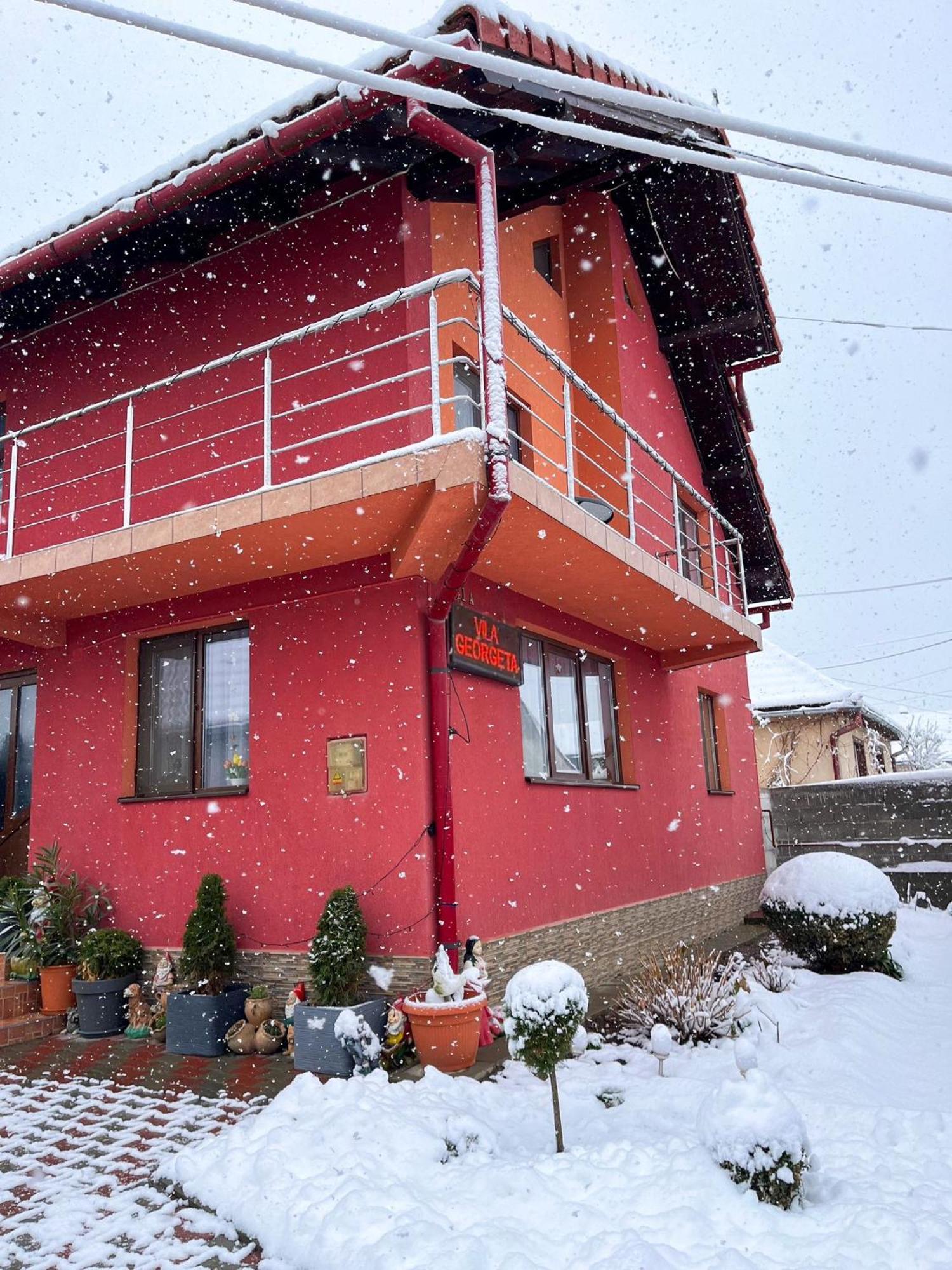Vila Georgeta Zarnesti Exterior foto